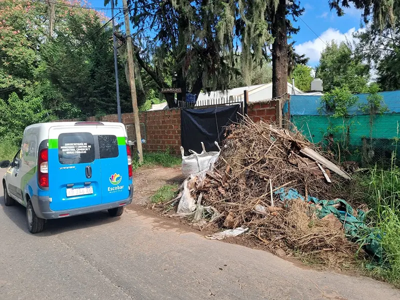 ramas apiladas a un costado de una calle de asfalto
