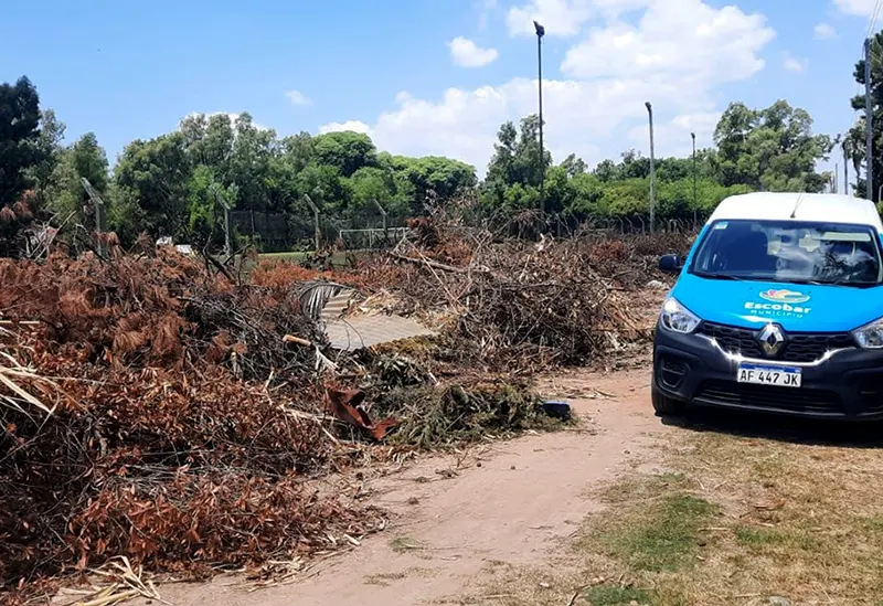 gran cantidad de ramas apiladas al costado de una calle