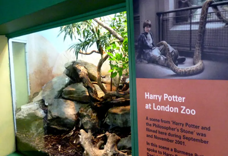 reptile house harry potter london zoo