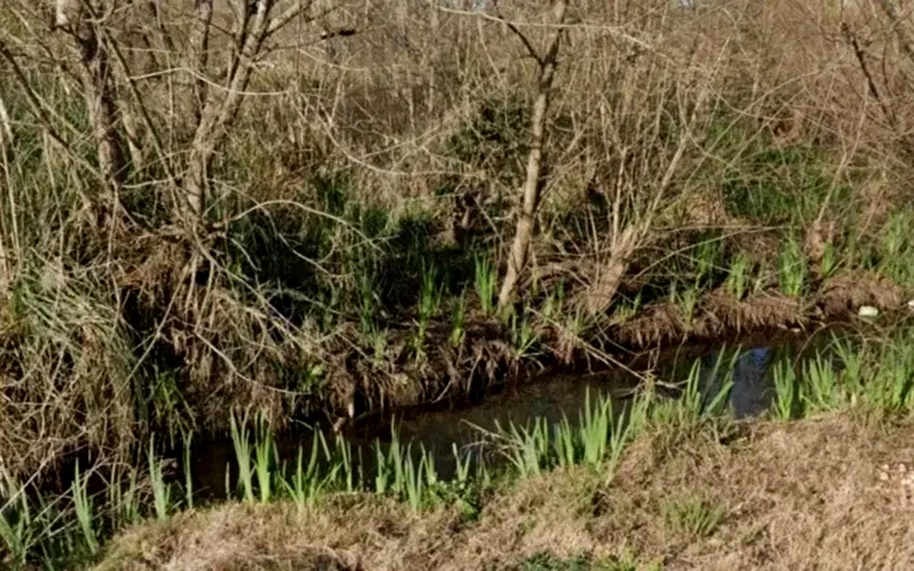 Macabro hallazgo: apareció estrangulado en una zanja un vecino de Escobar