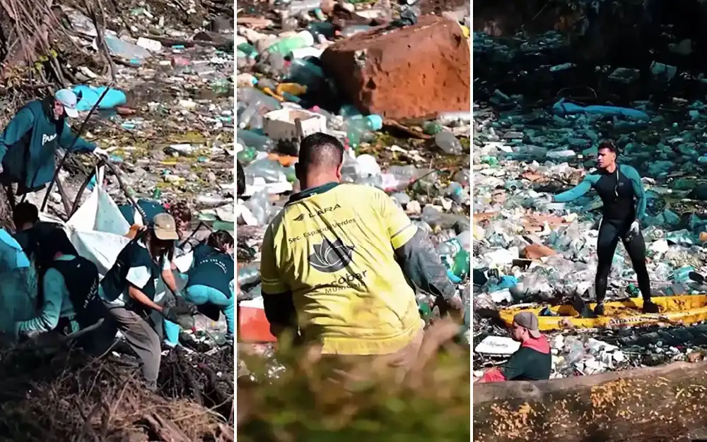 Un auténtico basural: los increíbles residuos hallados en el Arroyo Escobar