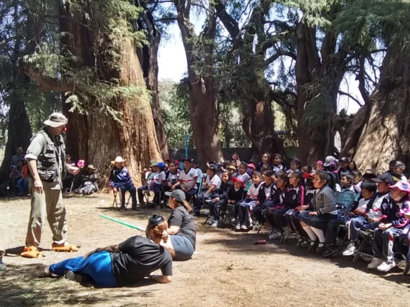 Función de Bola 8 en Santa Ana Coatepec en un bosque.