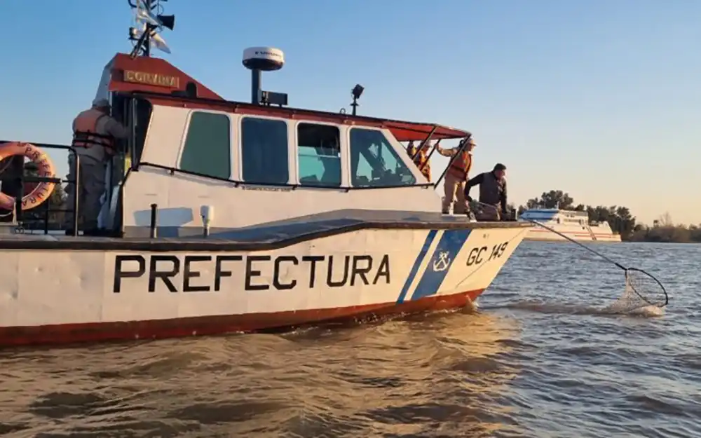 Rescatan a un lobo marino desorientado en el río Paraná de las Palmas