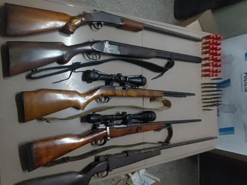 Durante la inspección, las autoridades descubrieron un impresionante arsenal compuesto por siete armas de fuego.