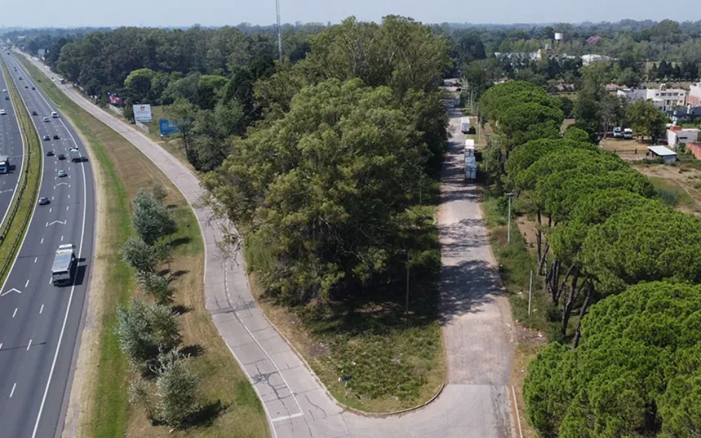 “Los árboles no se tocan”: vecinos de Loma Verde celebran un fallo judicial