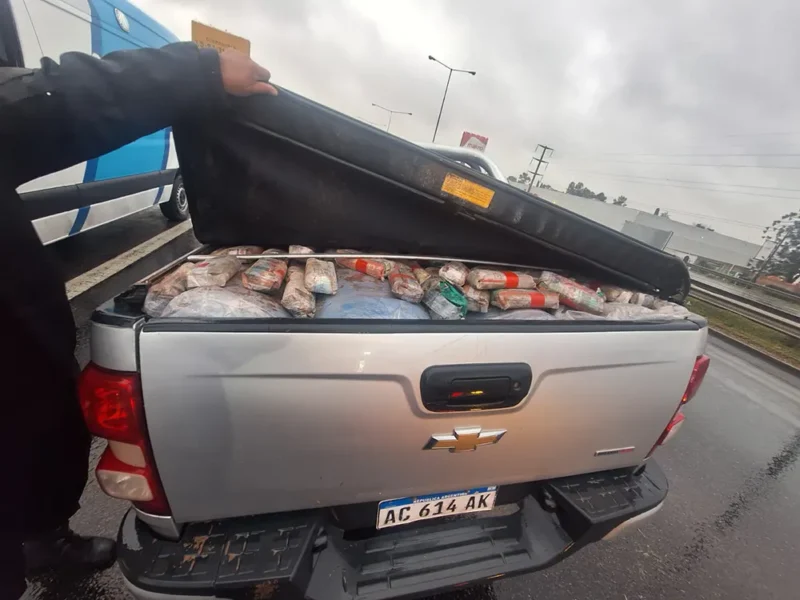 el cargamento de paquetes de coca en la caja de la camioneta