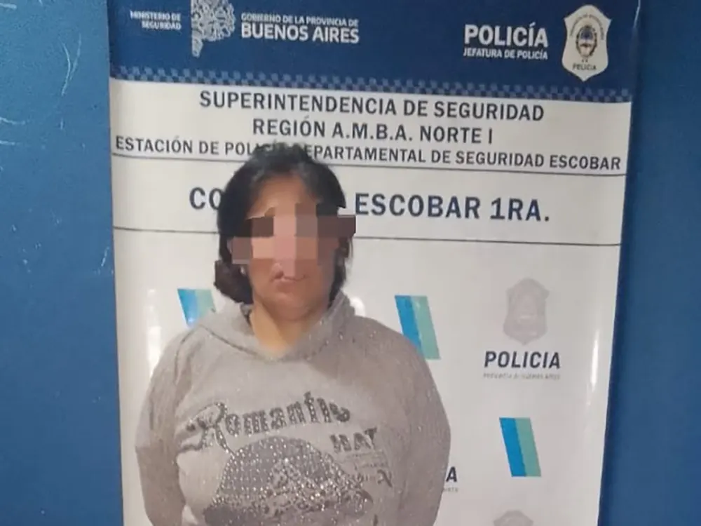 Delicia Del Carmen Rojas, la mujer detenida por el robo al comercio ubicado en la avenida tapia de cruz