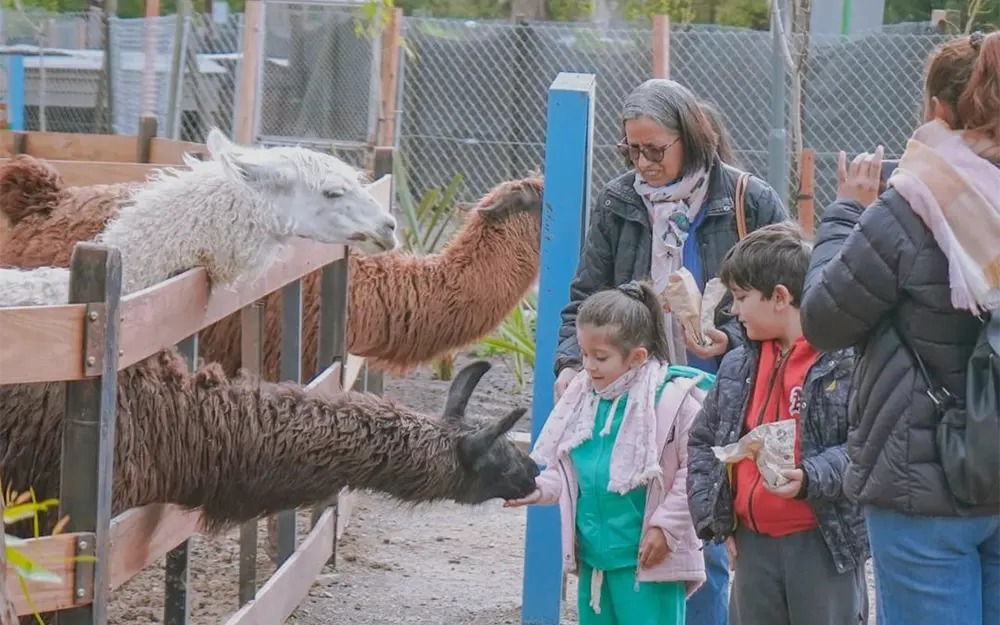 Día de la Niñez: la entrada a la Granja Educativa Don Benito será gratuita
