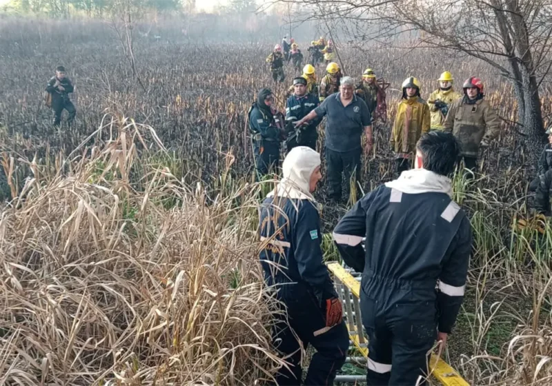bomberos entre los pastizales