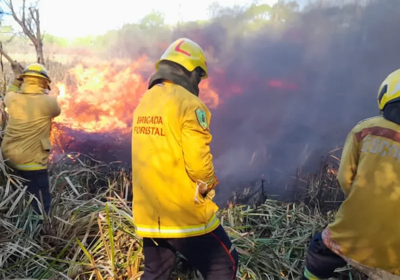 brigadistas combaten el incendio