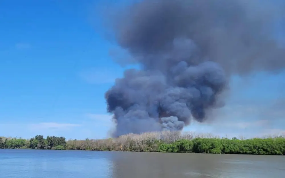 Incendio forestal en el Delta provocó una lluvia de cenizas en Escobar