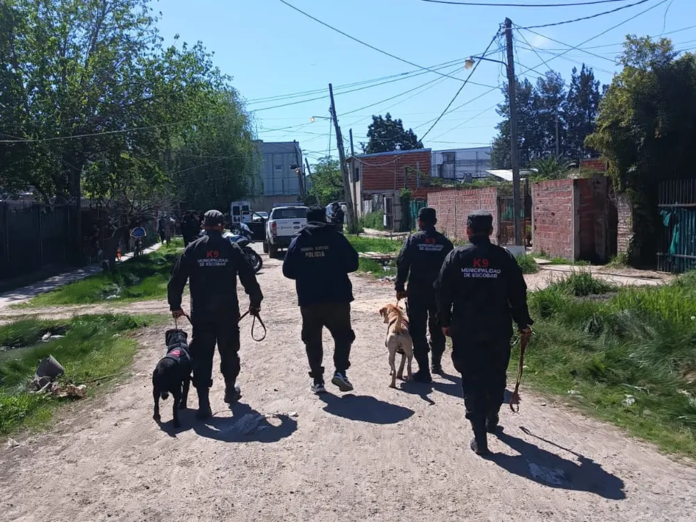 efectivos de seguridad caminan las calles con perros policías en el marco del operativo policial