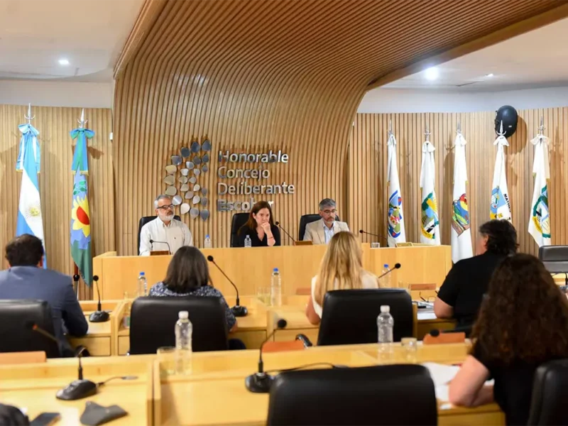 sesión del concejo en la que se votó corregir la rezonificación