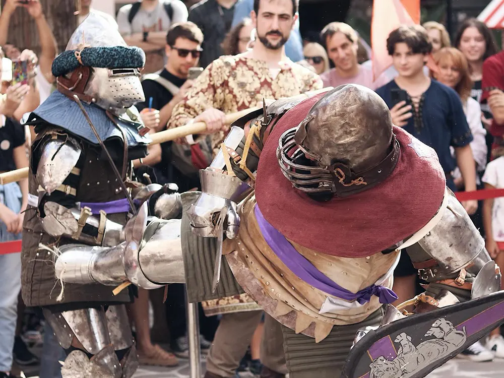 Participantes de Terra Avstralis participando de una melee grupal con armaduras y espadas reales