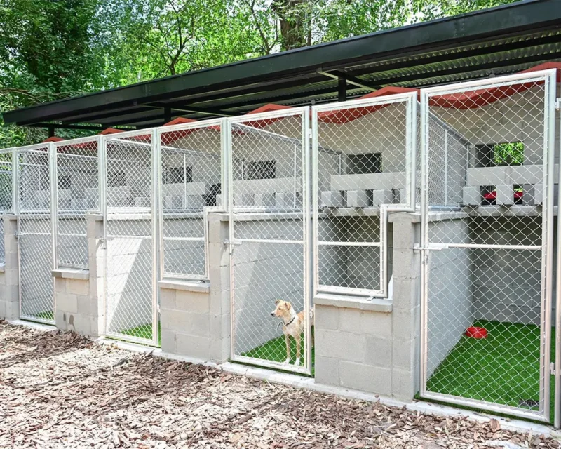 caniles del Centro de Adopción