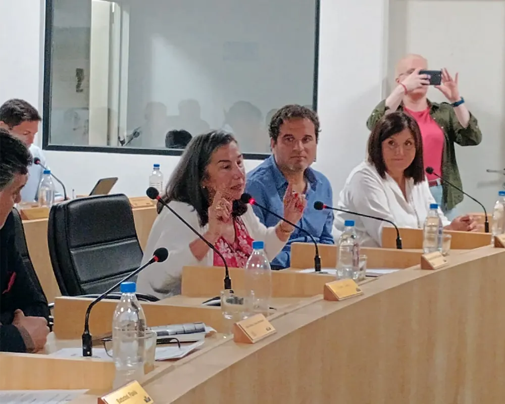 concejal Griselda Aristi, de Unión Liberal, en uso de la palabra