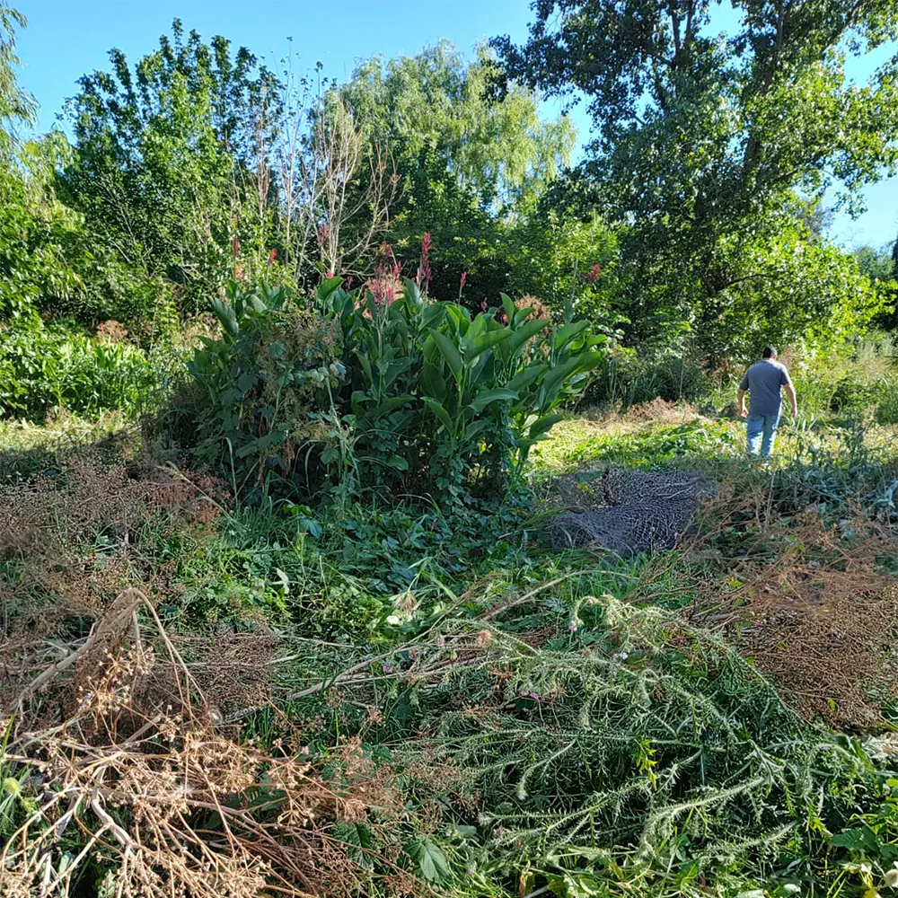policías recorren el terreno usurpado