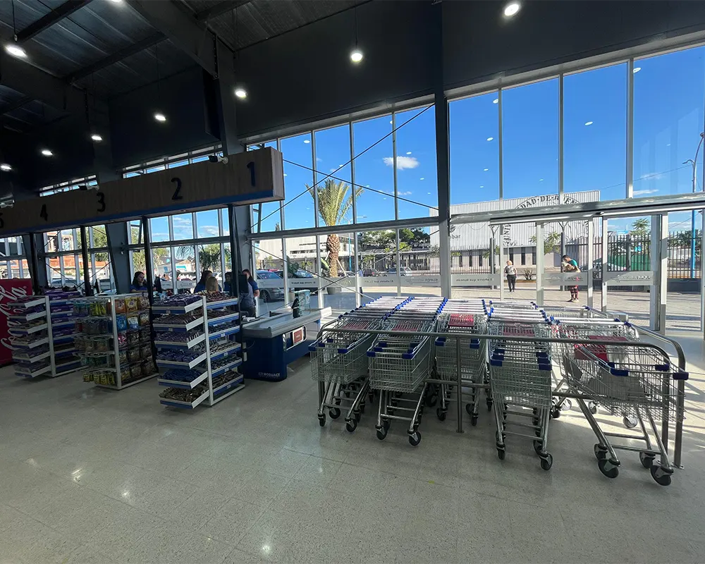 sector de carritos de super 2000