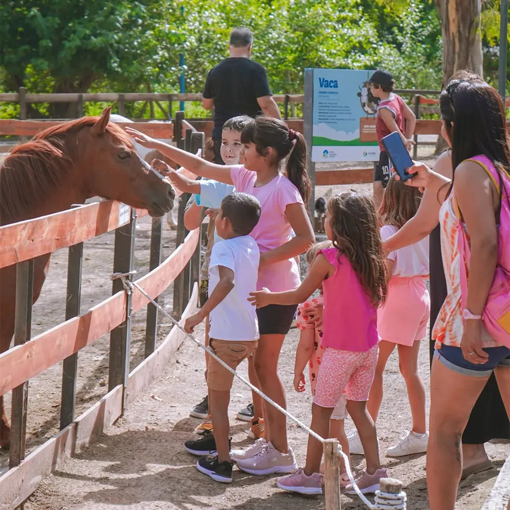 Niños en la Granja Don Benito