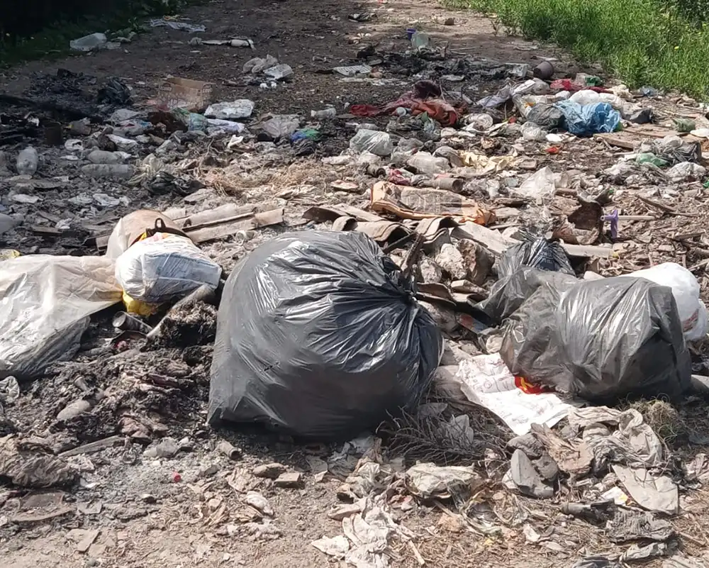 basural en la calle Hornero