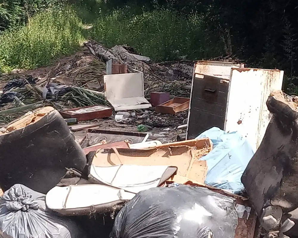 basural en la calle Hornero