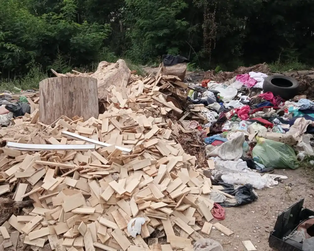 basural en la calle Hornero