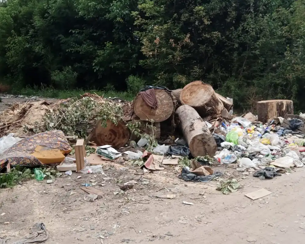 basural en la calle Hornero