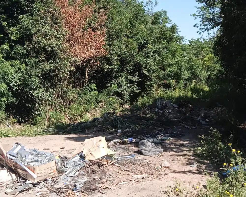 basural en la calle Hornero