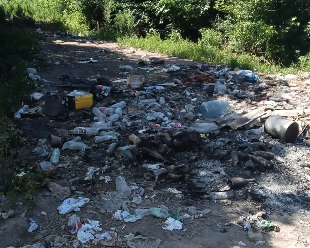 basural en la calle Hornero