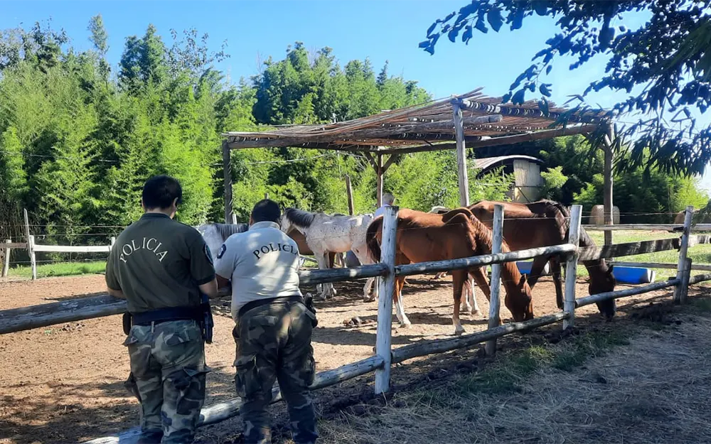 Clausuran el sector hípico del Haras Santa María por maltrato animal