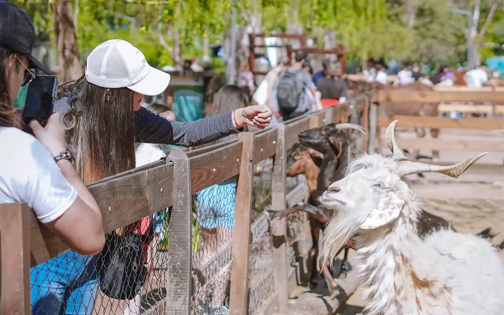 Precios, días y horarios para visitar la Granja Don Benito en Maschwitz