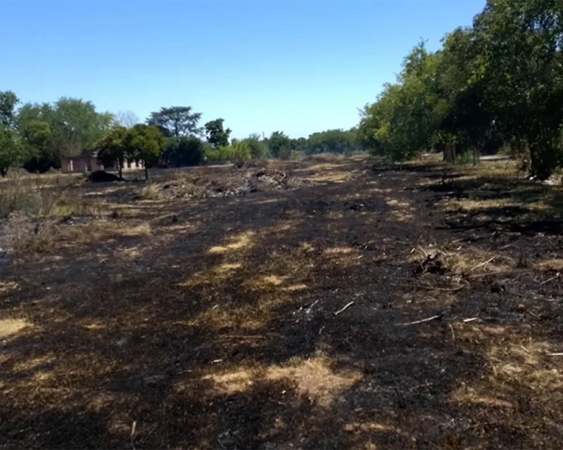 campo arrasado por el fuego