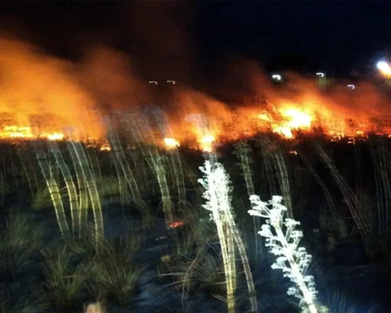 incendio de pastizales