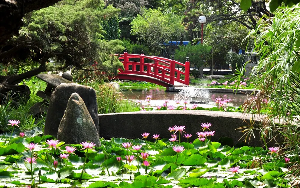 Precios, días y horarios para visitar el Jardín Japonés de Escobar