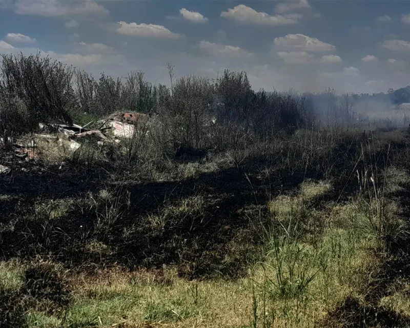 campo arrasado por el fuego
