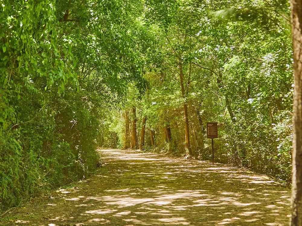 la reserva ecológica de puertos