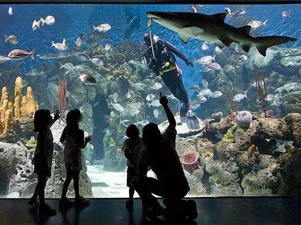 El acuario del bioparque Temaikèn