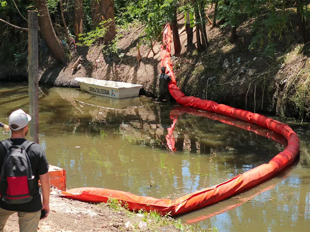 la ecobarda recién instalada