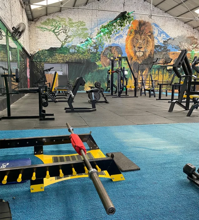 Interior de AFRIKGYM