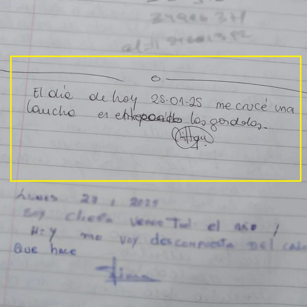 libro de quejas del Yaguar con reclamos de clientes por la presencia de ratas