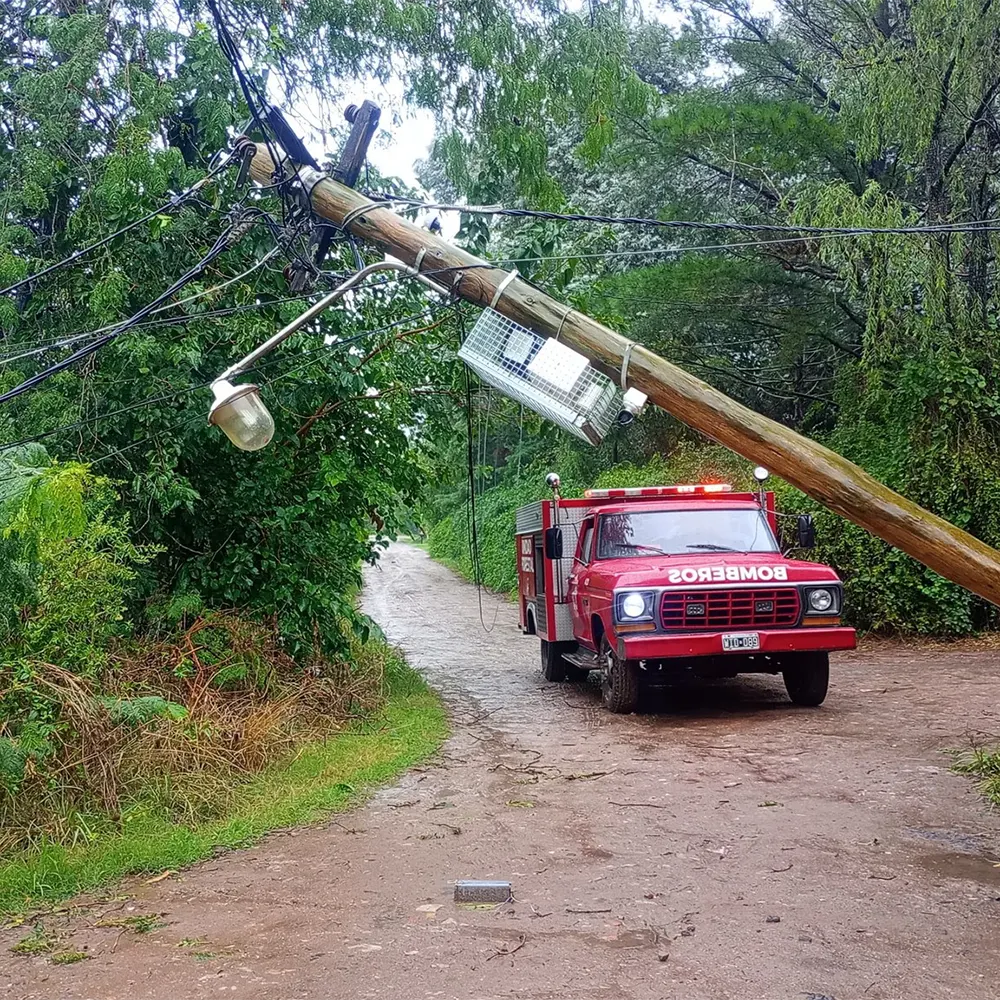 árboles caídos por el temporal en Loma Verde