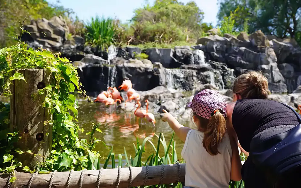 Cuál es el nuevo precio de la entrada a Temaikèn para los escobarenses