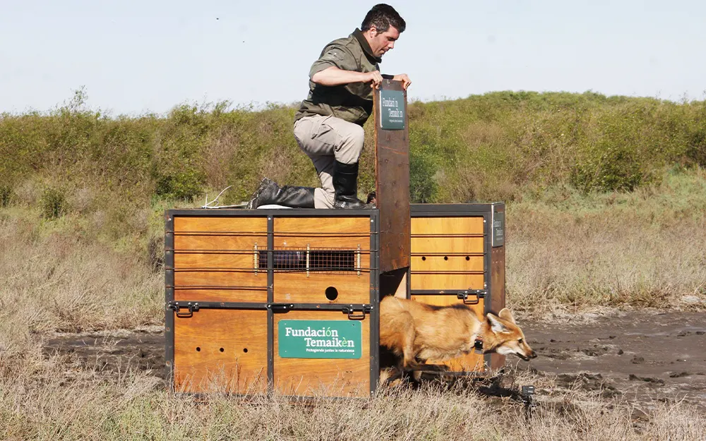 La Fundación Temaikèn celebra 25 años liderando hitos por la biodiversidad