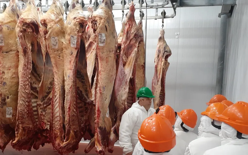 frigorifico loma verde el frigorífico de loma verde