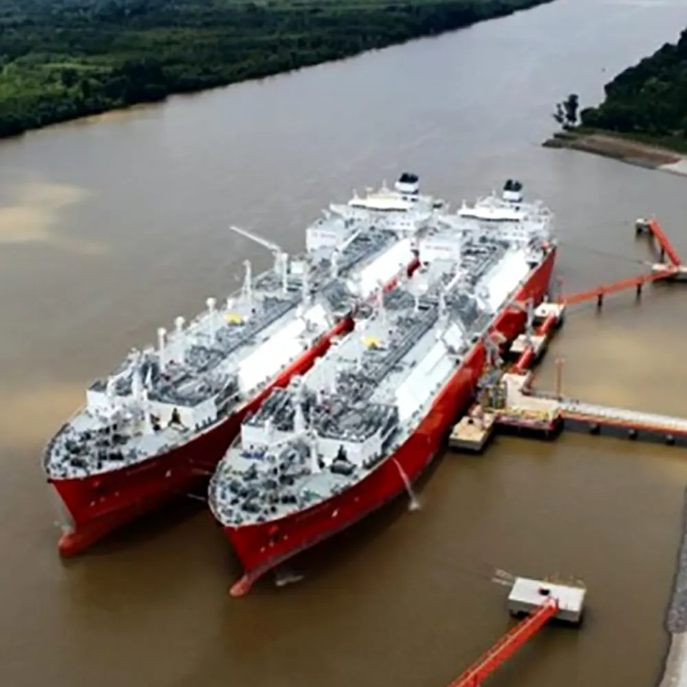 Buques en el puerto regasificador de Escobar