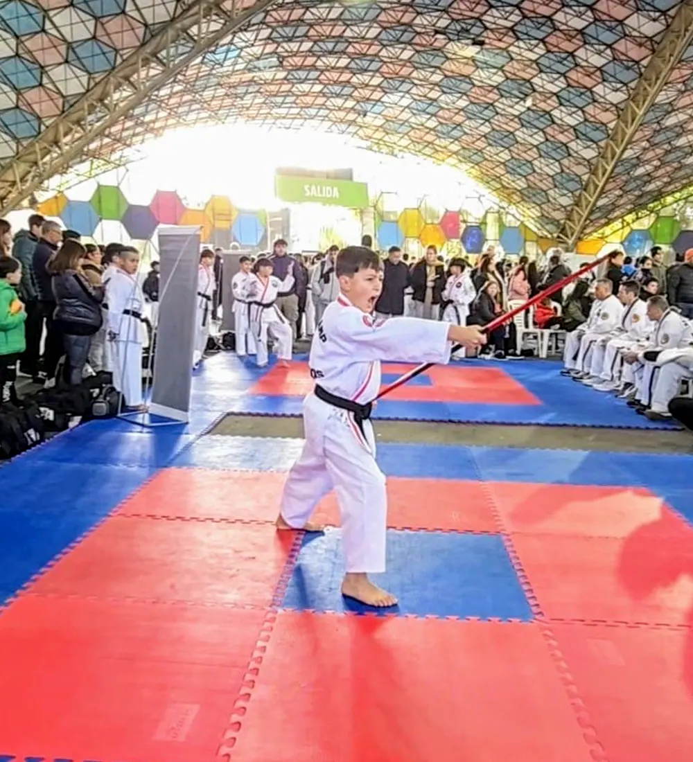 Ignacio Pintos realizando una kata de bo (bastón de madera)