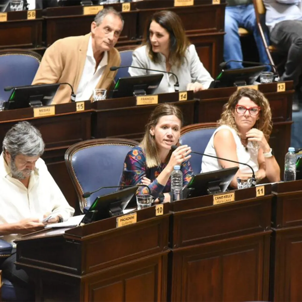 Senadora provincial Laura Cano