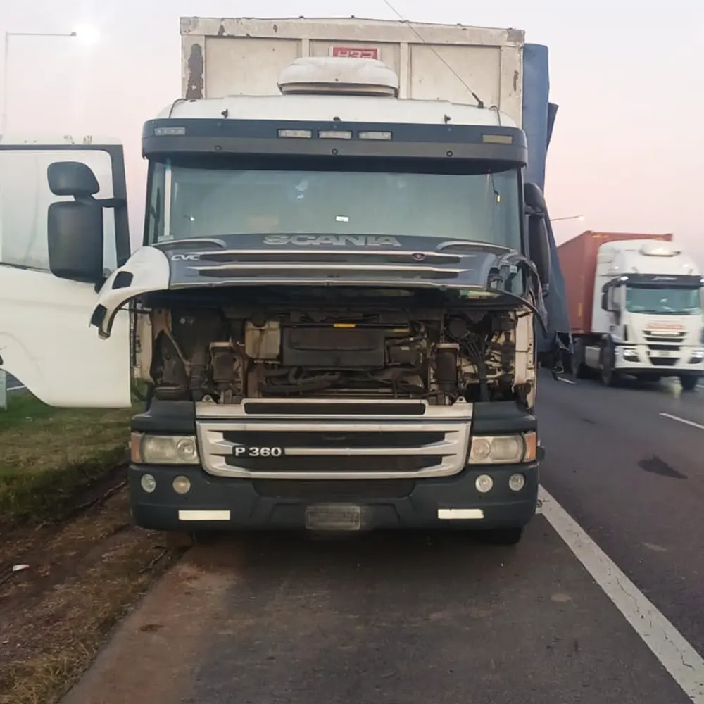 Camión detenido en la banquina de Panamericana