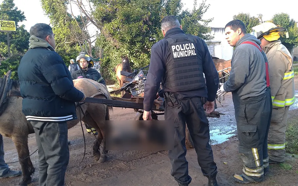 Tragedia en Maquinista Savio: un cartonero murió aplastado por su carro