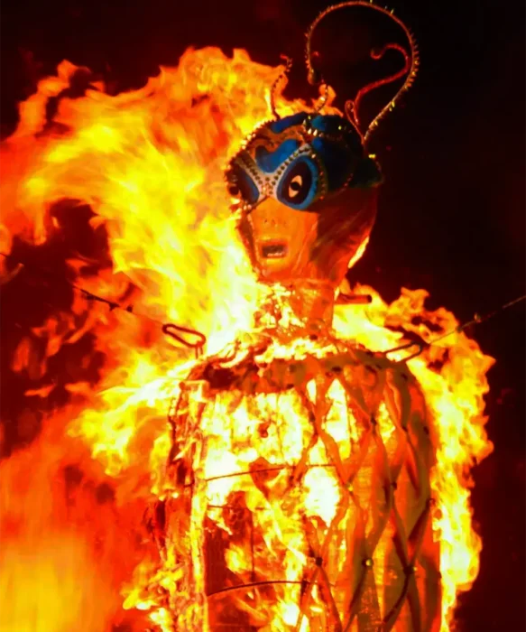 La crisálida arde en la Fogata de San Juan como símbolo del cambio